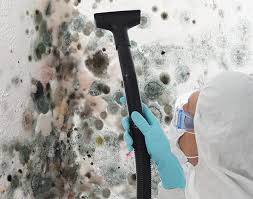 Why You Should Choose Our Mold Remediation Services in Harrison, AR